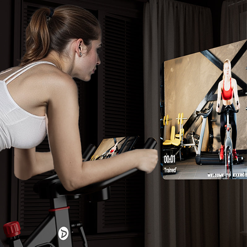 DeerRun S500 Pro King Size Indoor Exercise Bike for Tall Riders 32 Magnetic Resistance, LED Screen